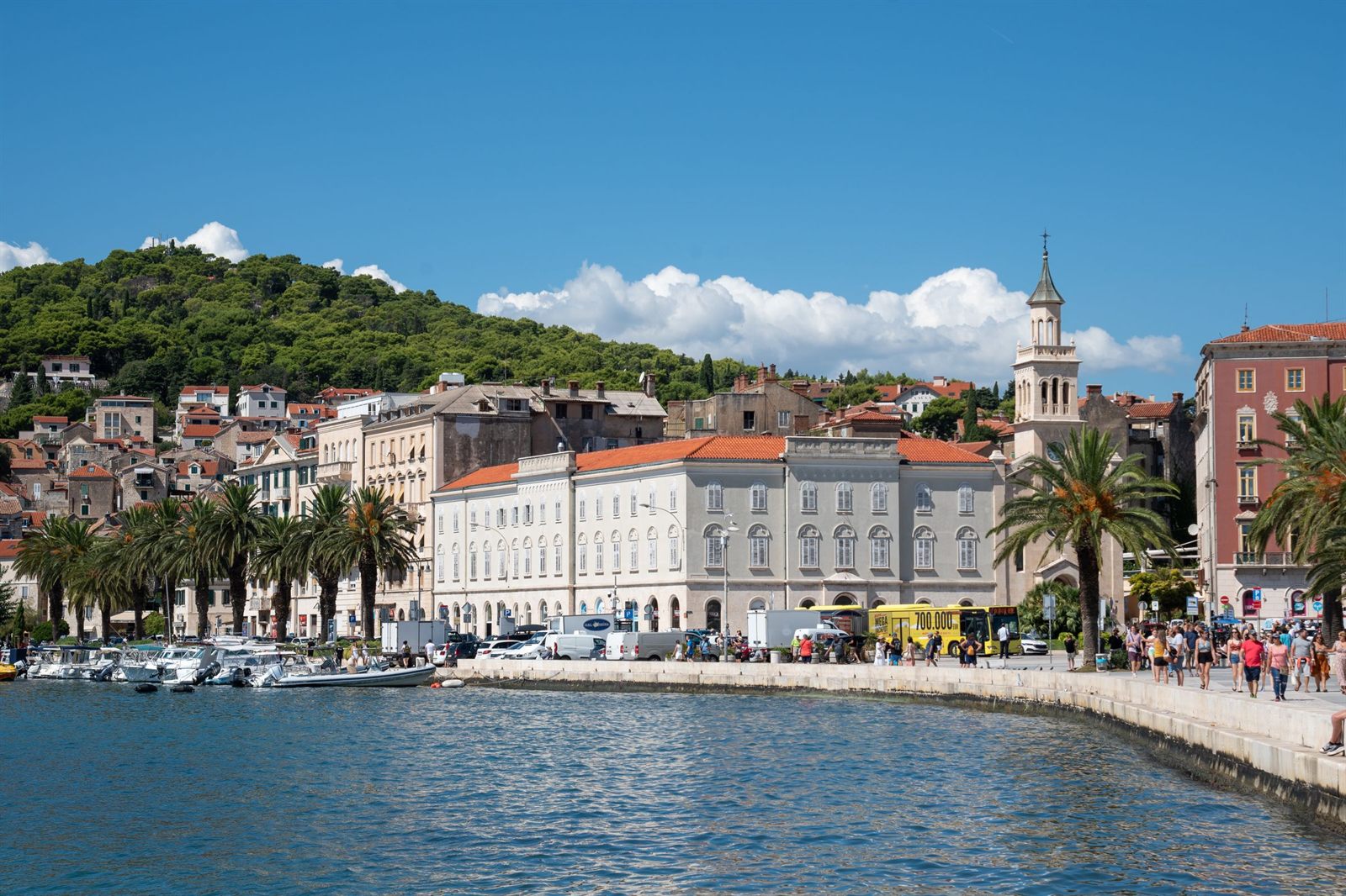 Palm-lined Riva promenade and harbor in Split below a green hill